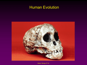 D.3.4-3.10 Human Evolution PowerPoint