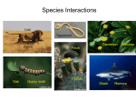 species a