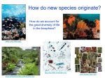 Speciation slides