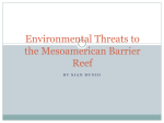 Mesoamerican Reef-environment impacts