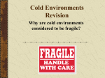 Cold Environments revision lesson 2