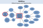 Climate Change impacts pathways