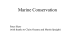 Marine Conservation