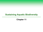 Sustaining Aquatic Biodiversity