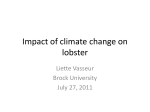 Impact of climate change on lobster