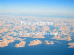 Polar Ice Biome