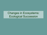 Changes in Ecosystems: Ecological Succession