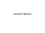 Invasive Species