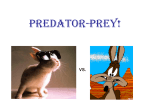 Predator