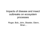Impacts of disease and insect outbreaks on ecosystem processes
