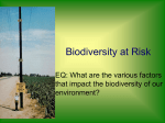 Biodiversity_at_Risk1