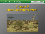 Chapter 5: “How Ecosystems Work”