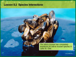 Lesson 5.2 Species Interactions