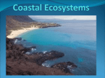 Coastal Ecosystems