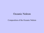 Oceanic Nekton - Canton Local Schools