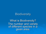 Species diversity - Northwest ISD Moodle