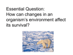 Essential Question: How can changes in an organism`s environment