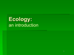 Ecology Notes