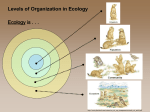 Levels of Organization in an Ecosystem