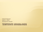 temperate grasslands-craig-