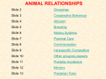Animal relationships