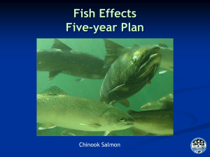 4b_Fish_Effects_Five