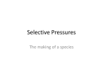 Selective Pressures