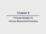 Human Origins and Behavior