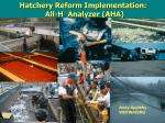 Hatchery Reform Project - Total Marking Program: California
