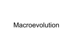 Macroevolution