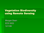 Vegetation Biodiversity using Remote Sensing