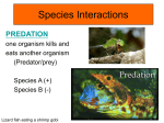 Species Interactions