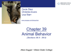 chapter39_Animal Behavior(5