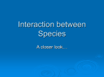 Interaction Among Species