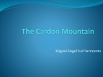 Mountain Cardon