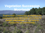 Moorlands - plant succession