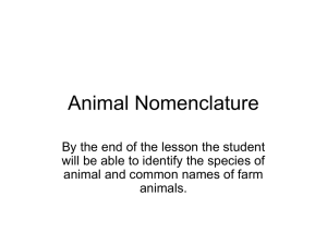 Animal Nomenclature Power Point