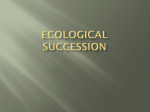 Ecological Succession