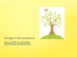 Succession PowerPoint