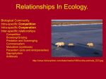 relationships_in_ecology