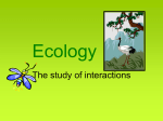 Ecology