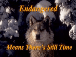 Endangered Means There`s Still Time