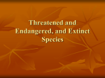 Threatened and Endangered, and Extinct Species