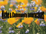 Niche & Community Interactions PPT