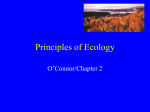 Principles of Ecology