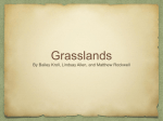 Biomes - Grasslands