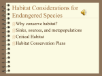 Habitat Considerations for Endangered Species