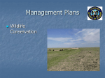 Management Plans