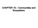 Chapter 19 Communities & Ecosystems (General Biology)