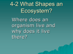 19-2 Ecology of Organisms